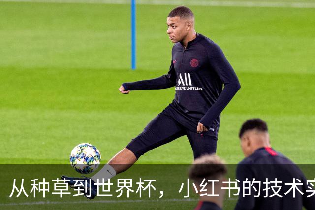 从种草到世界杯，小红书的技术实力藏不住了